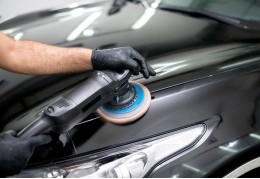 2-Bromeliad Mount Care: How to Water and Care for Mounted Bromeliads